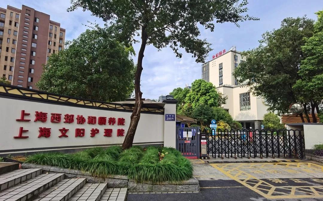 1636775917826047917.jpg ShXZNT723NooTC.jpg