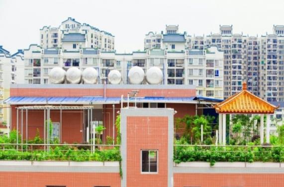 1644382360822094044.jpg 6a1f7a96491907d75194c2ff039d88a1.jpg