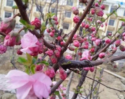 1649989255777032126.jpg QQ截圖20220415101630.jpg