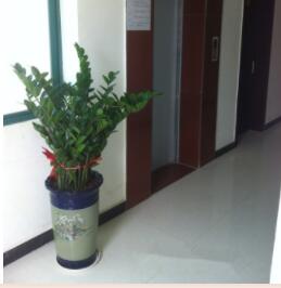 1651804911026013555.jpg QQ截圖20220506103553.jpg