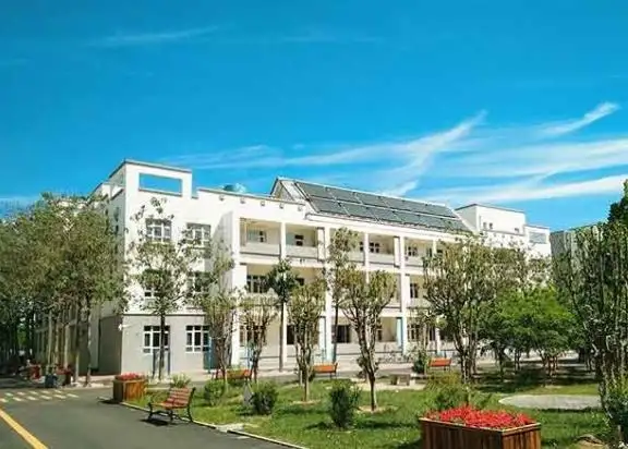 1655175756443096194.jpg 803936626771.jpg