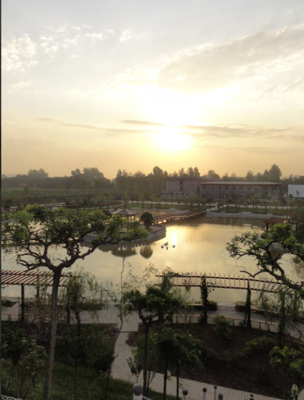 1656916628357071972.png 陜西2.png