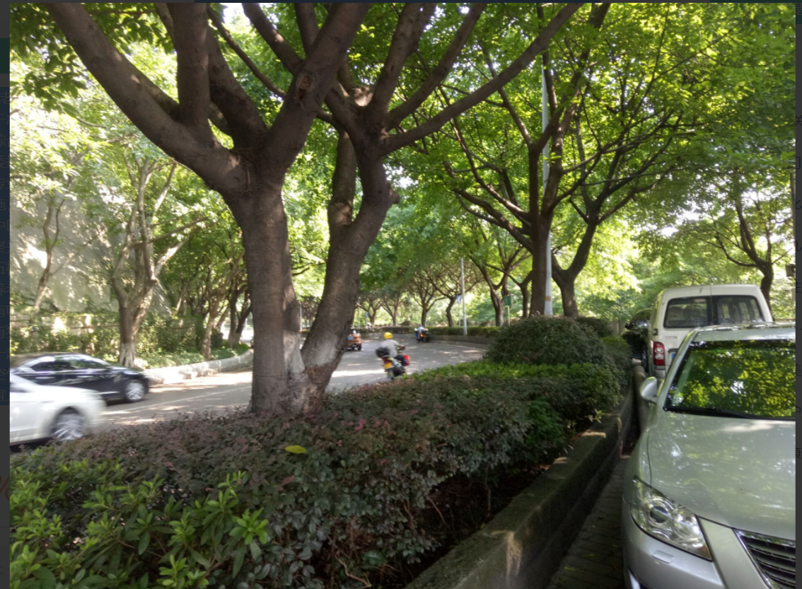 1656916977878025588.png 重慶2.png