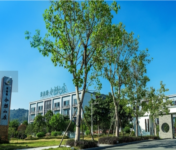 1657779762621048679.png 深圳.png