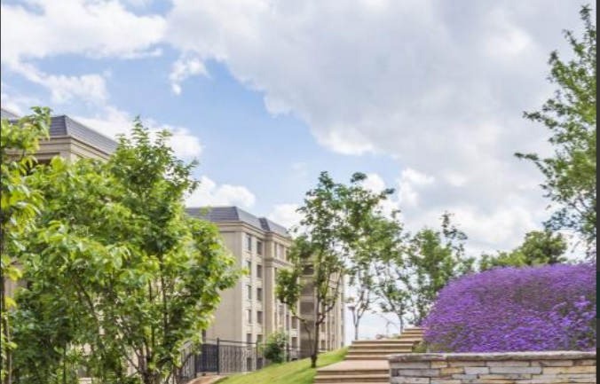 1660552467388059650.png 1660552467388059650.png