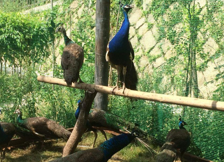 1661351094437065074.png 1661351094437065074.png