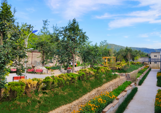 1662385498650033056.png 1662385498650033056.png