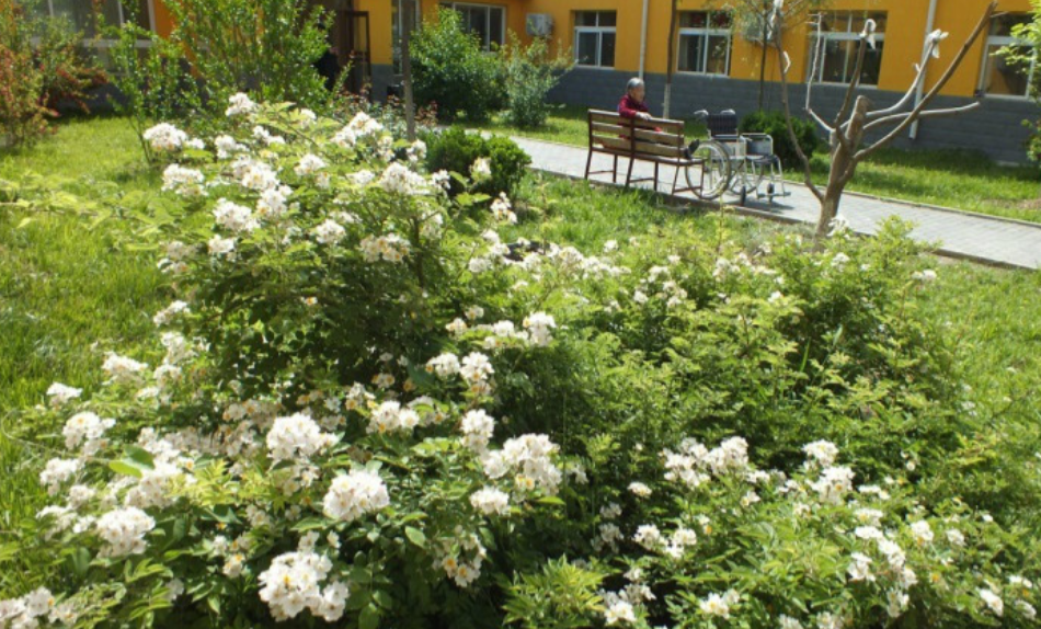 1663851673051006446.png 1663851673051006446.png