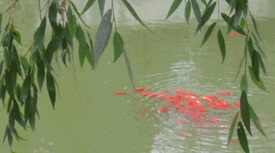 1663852065973069230.png 1663852065973069230.png