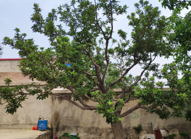 1666706320934083727.png 1666706320934083727.png