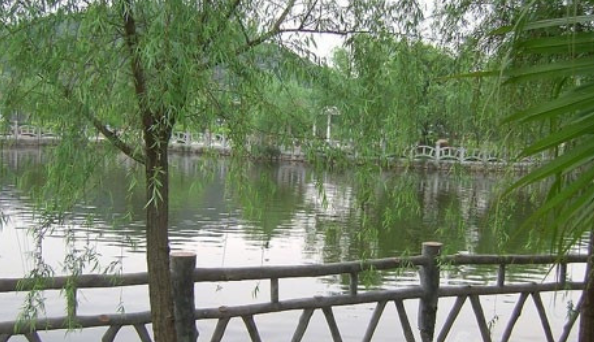 1666707230825024212.png 1666707230825024212.png