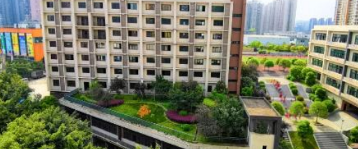 1667745709055034391.png 1667745709055034391.png