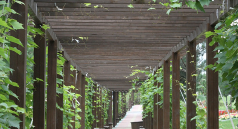 1668324071952018627.png 1668324071952018627.png