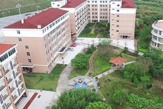 1668327294275022436.png 1668327294275022436.png