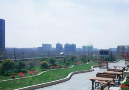 1668927047620048477.png 1668927047620048477.png