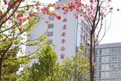 1679142673090072863.png 1679142673090072863.png