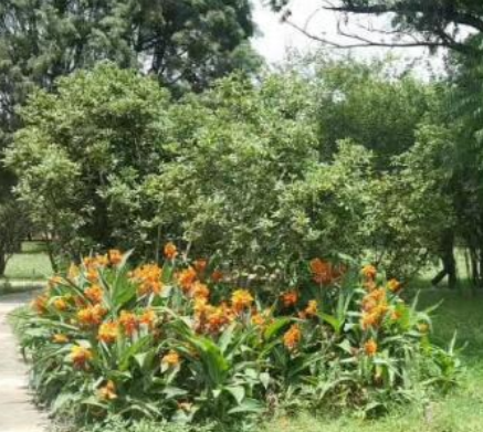 1679142745339020906.png 1679142745339020906.png