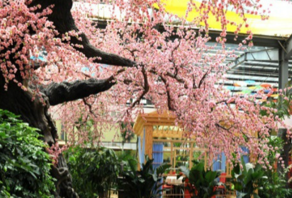 1679152000674052199.png 1679152000674052199.png