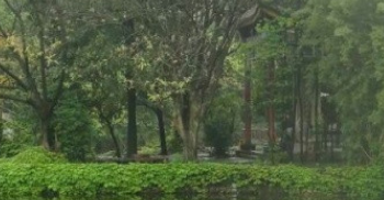 1681656650346005179.png 1681656650346005179.png