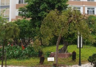 1681908689423073242.png 1681908689423073242.png