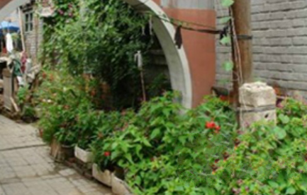 1683965122589006858.png 1683965122589006858.png