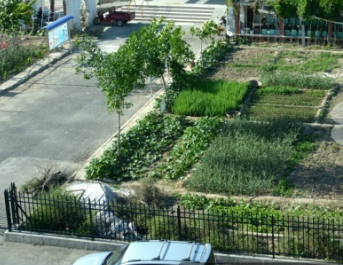 1683988865767067565.png 1683988865767067565.png