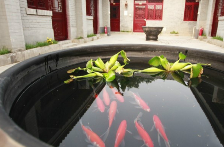 1687519856323033254.png 1687519856323033254.png