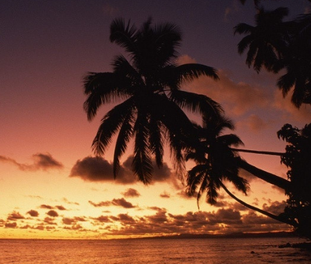 1688127614874068348.png 1688127614874068348.png