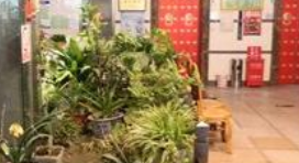 1688215023708034851.png 1688215023708034851.png