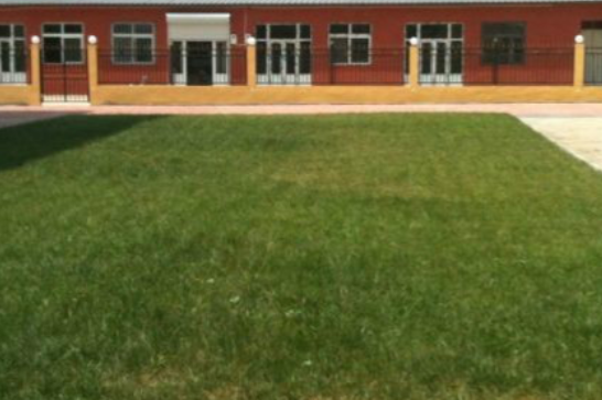 1690292960828082379.png 1690292960828082379.png