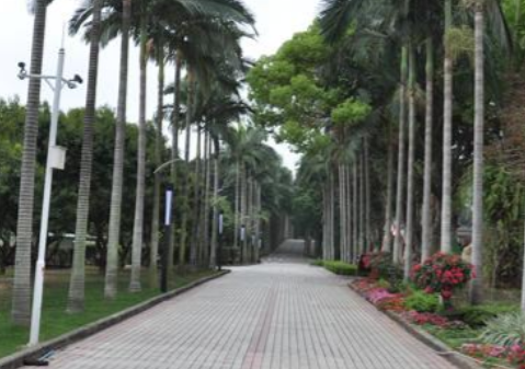 1690293171755036891.png 1690293171755036891.png