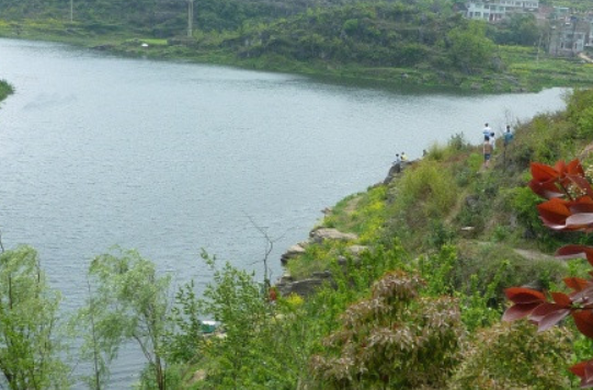 1690464248289066062.png 1690464248289066062.png