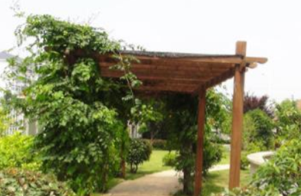 1690464330119070238.png 1690464330119070238.png