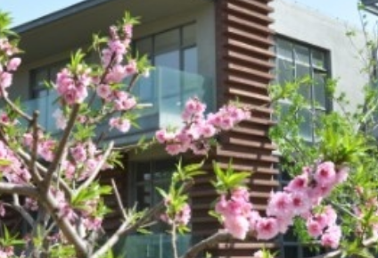 1690810207442037634.png 1690810207442037634.png