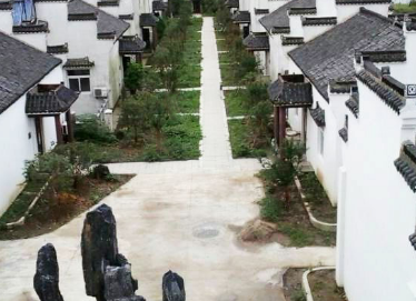 1690892915252068160.png 1690892915252068160.png