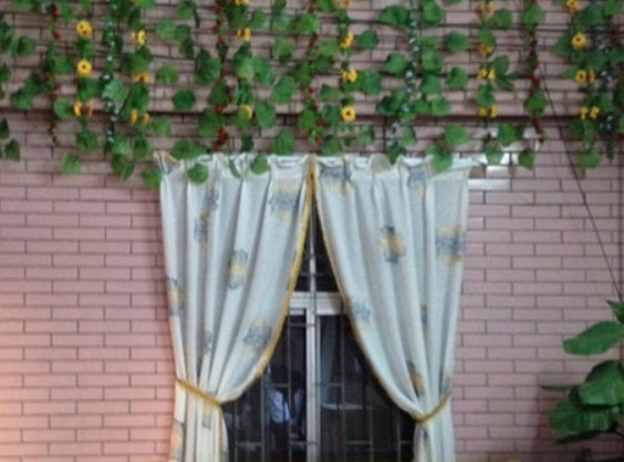 1690897929441006066.png 1690897929441006066.png