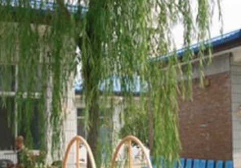 1691225544246047458.png 1691225544246047458.png