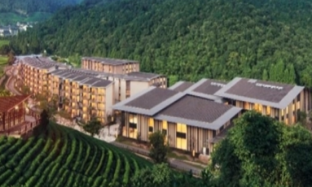 1691226665652081576.png 1691226665652081576.png