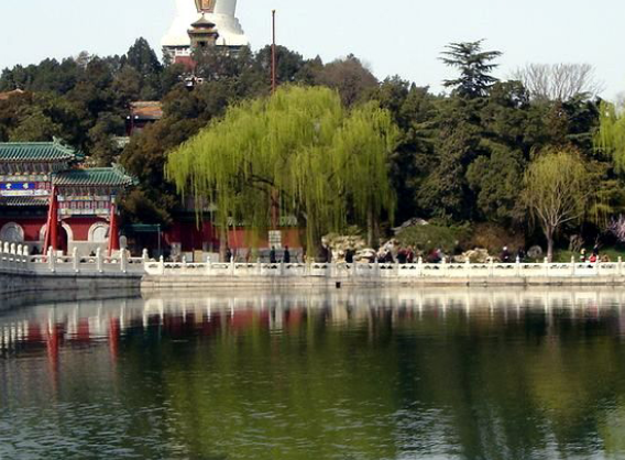 1691230948587061134.png 1691230948587061134.png