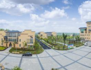 1691287117995010774.png 1691287117995010774.png