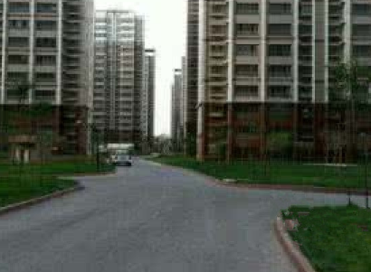 1691290878281048219.png 5.png