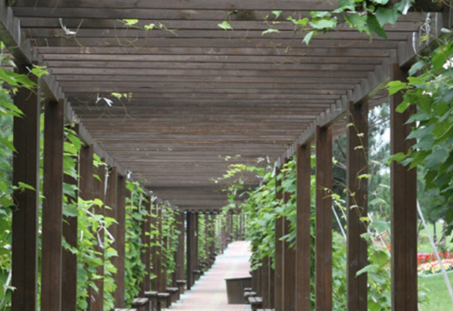 1693133670284046447.png 1693133670284046447.png