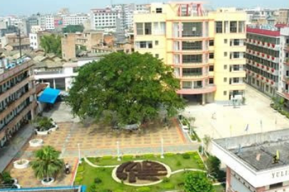 1696479042230043220.png 1696479042230043220.png