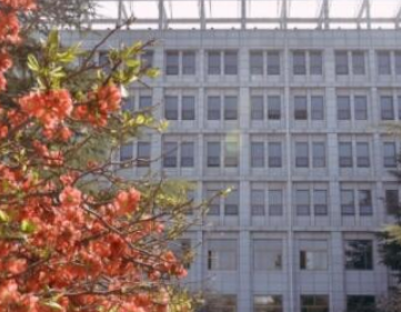 1696481874130004388.png 1696481874130004388.png