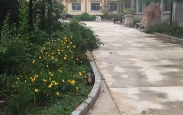 1696519352570081772.png 1696519352570081772.png