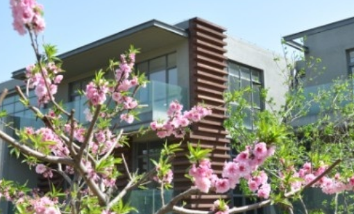 1696600022208099726.png 1696600022208099726.png