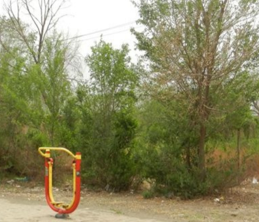 1696690968251073454.png 1696690968251073454.png