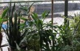 1699171266783020305.png 1699171266783020305.png