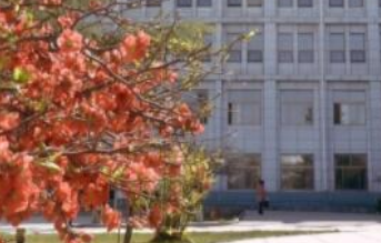 1699175032862090648.png 1699175032862090648.png