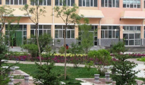 1699175101823081873.png 1699175101823081873.png